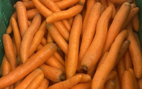 Herzog Großhandel Bio Produkte Sortiment Karotten