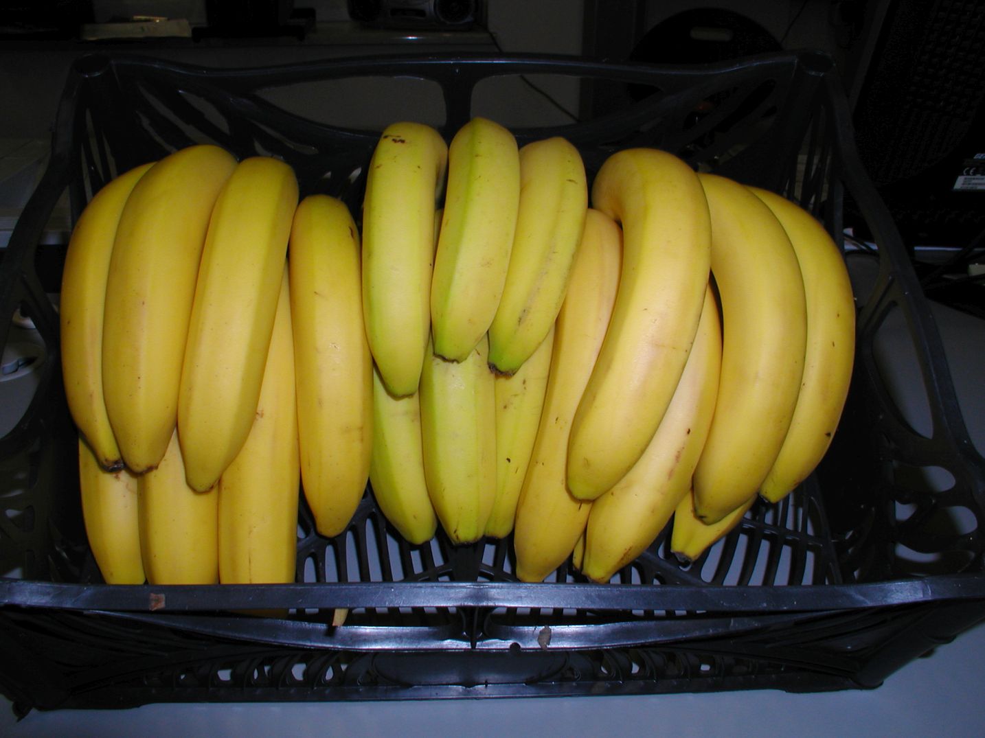 Herzog Großhandel Exotische Früchte Sortiment Bananen