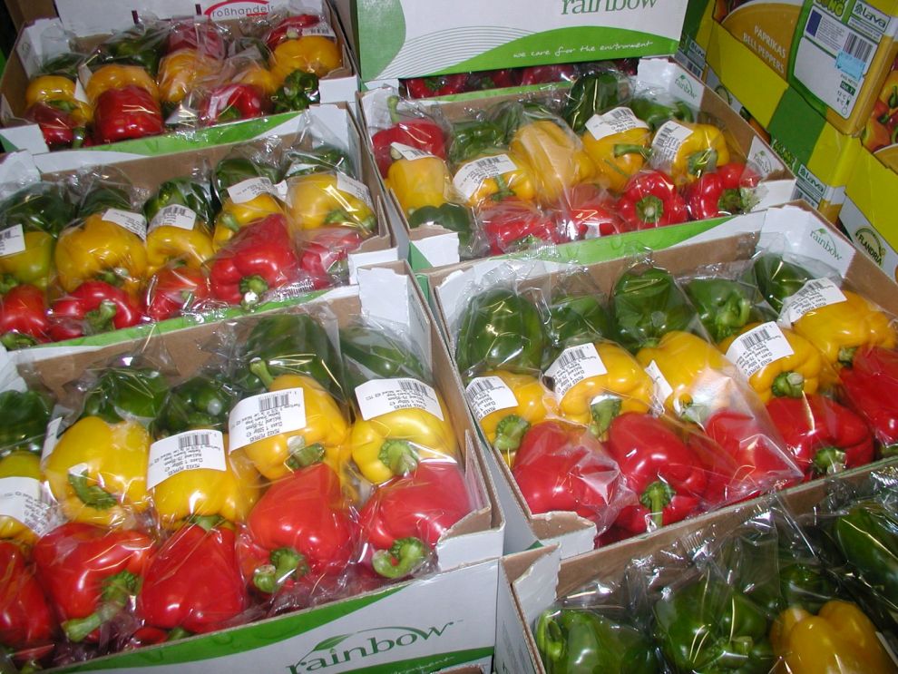 Herzog Großhandel Gemüse Sortiment Paprika