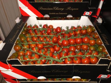 Herzog Großhandel Gemüse Sortiment Tomaten