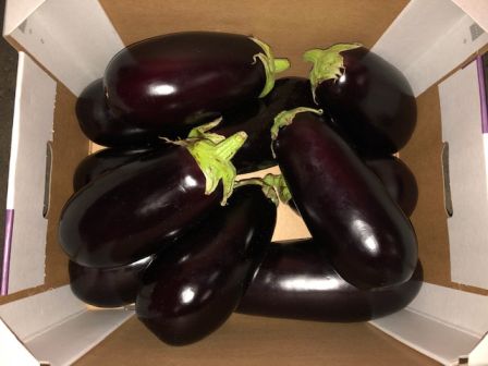 Herzog Großhandel Gemüse Sortiment Aubergine