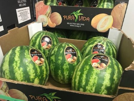 Herzog Großhandel Frisch Obst Sortiment Wassermelonen